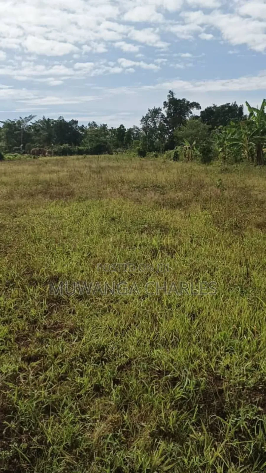 Plots on Sale in Matugga Kitungwa