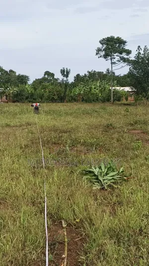 Plots on Sale in Matugga Kitungwa