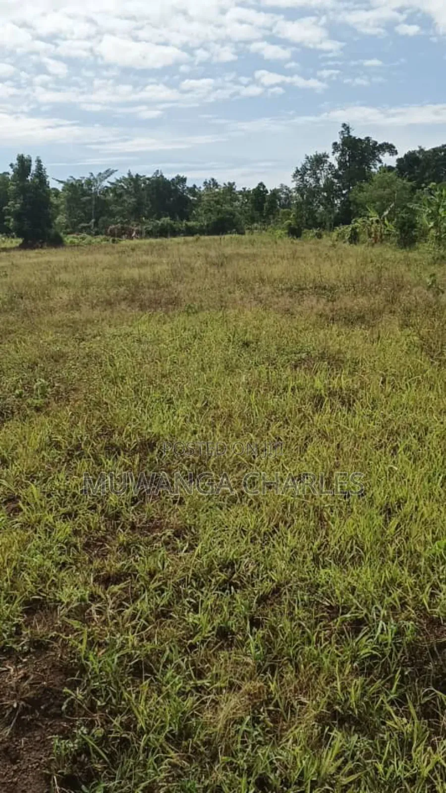 Plots on Sale in Matugga Kitungwa
