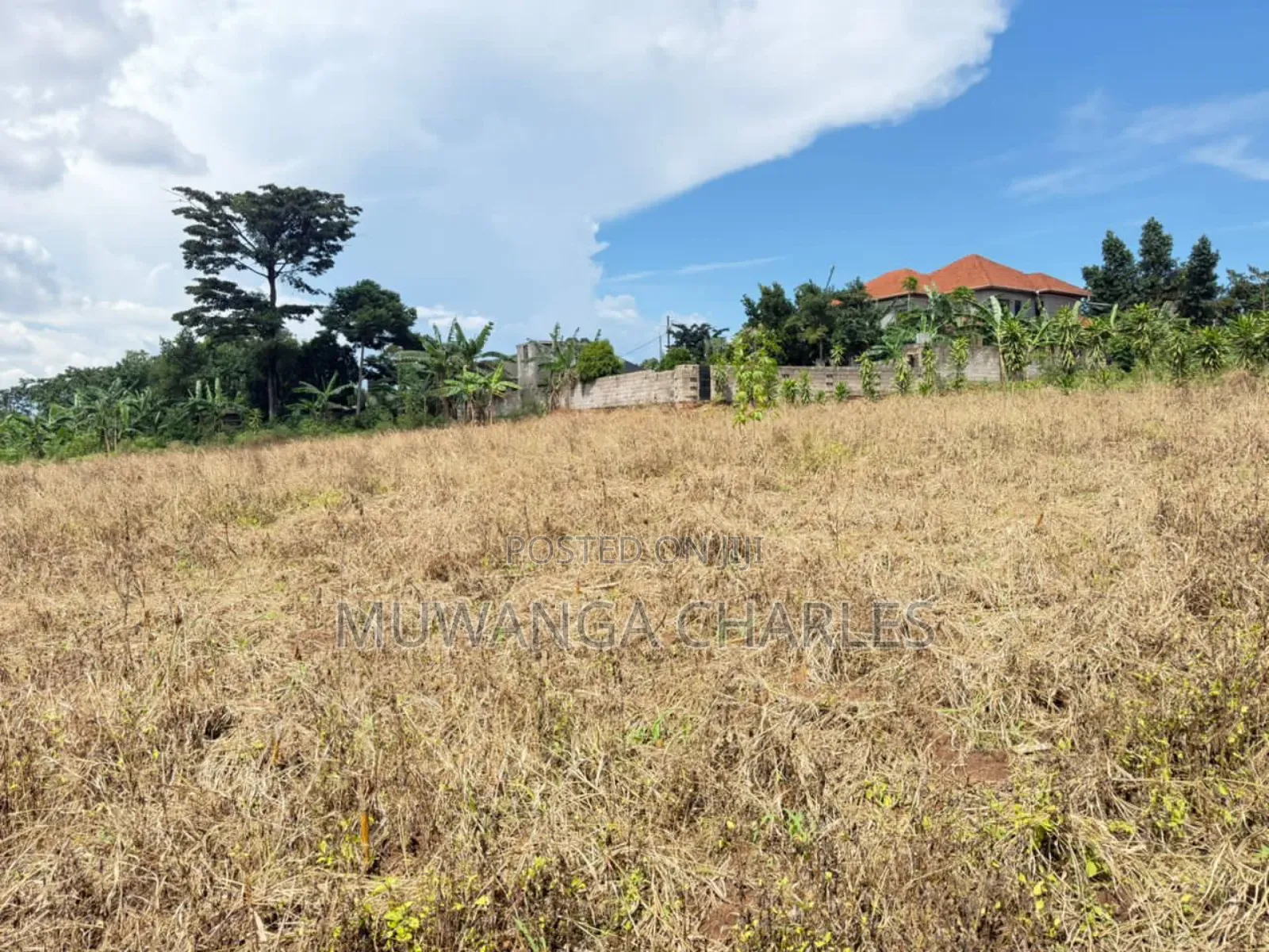 Plots on Sale in Kiwologoma Phase 1
