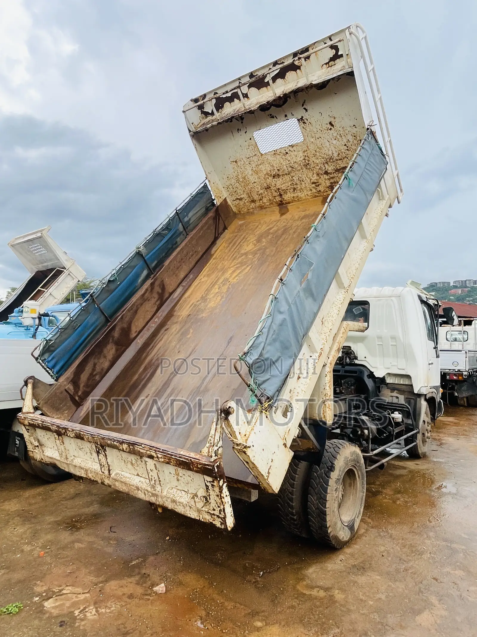 Hino White Color