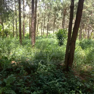 One Acre for Sale Located at Seeta Kikoza Town Mukono