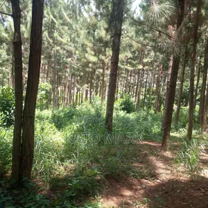 One Acre for Sale Located at Seeta Kikoza Town Mukono