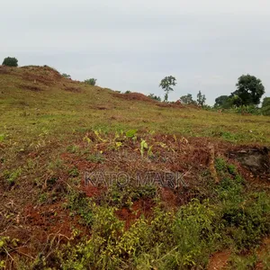 2 Acres for Sale Located at Mukono Kabembe