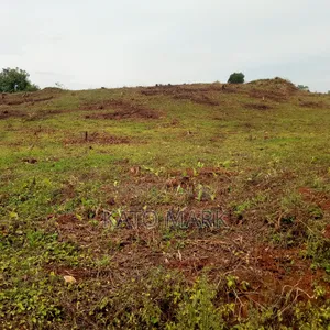 2 Acres for Sale Located at Mukono Kabembe