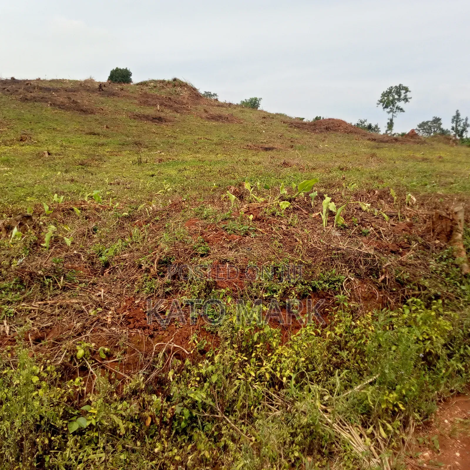 2 Acres for Sale Located at Mukono Kabembe