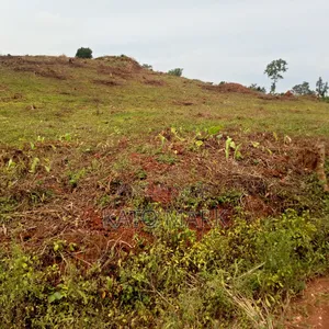 2 Acres for Sale Located at Mukono Kabembe