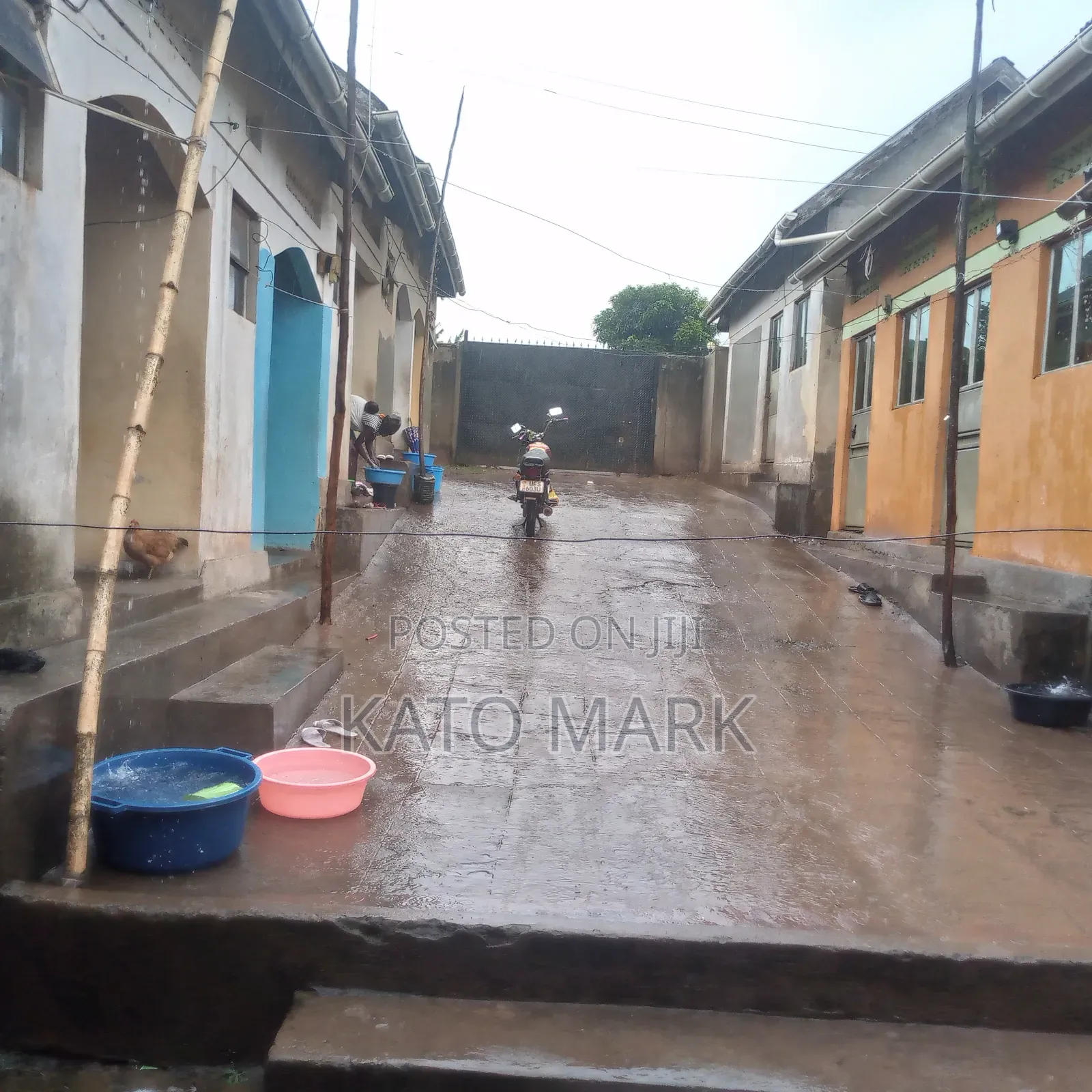 Rentals for Sale Located at Mukono Kusatu