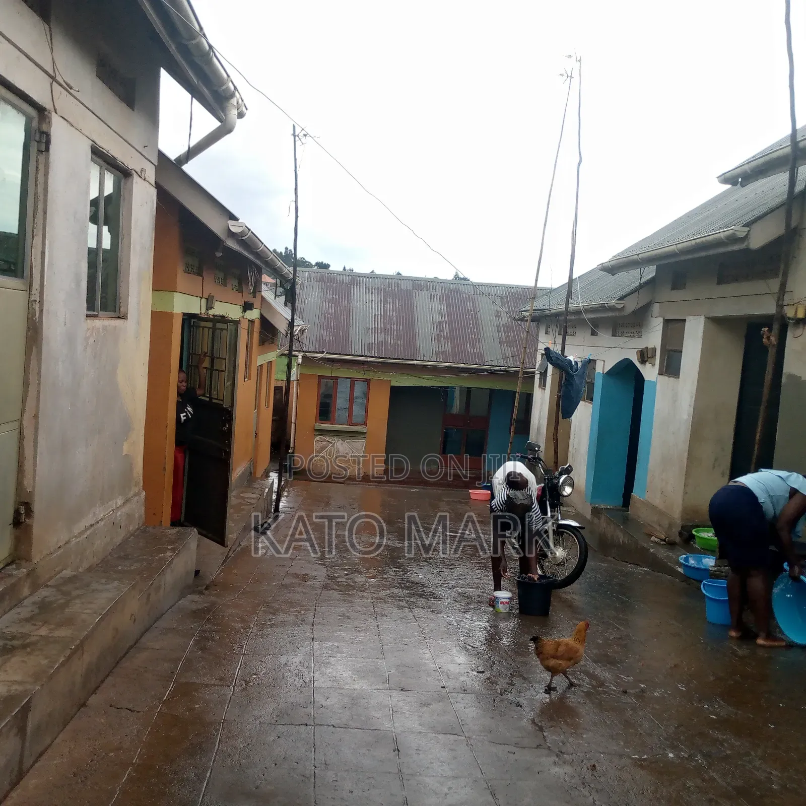 Rentals for Sale Located at Mukono Kusatu