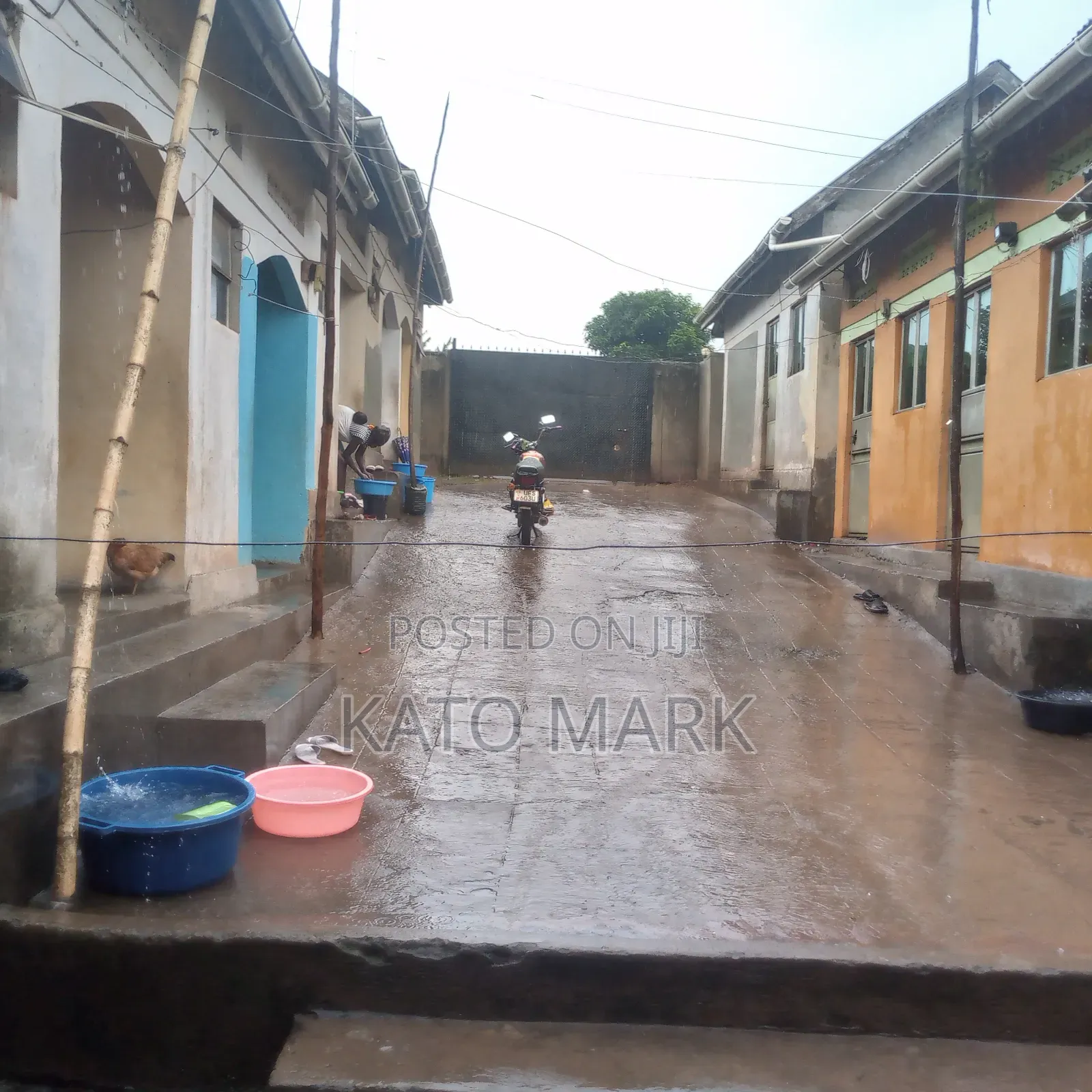 Rentals for Sale Located at Mukono Kusatu