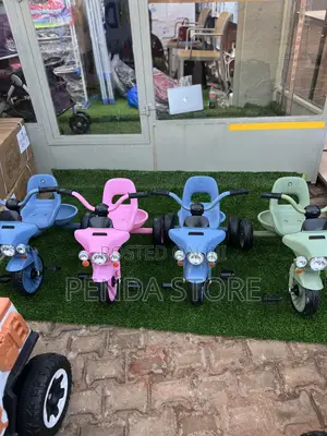 Kids Bike / Kid’S Tricycle – Little Rider Kids Bike / Tricycle