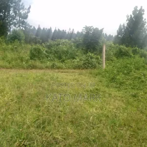Several Plot for Sale Located at Mukono Kisowera
