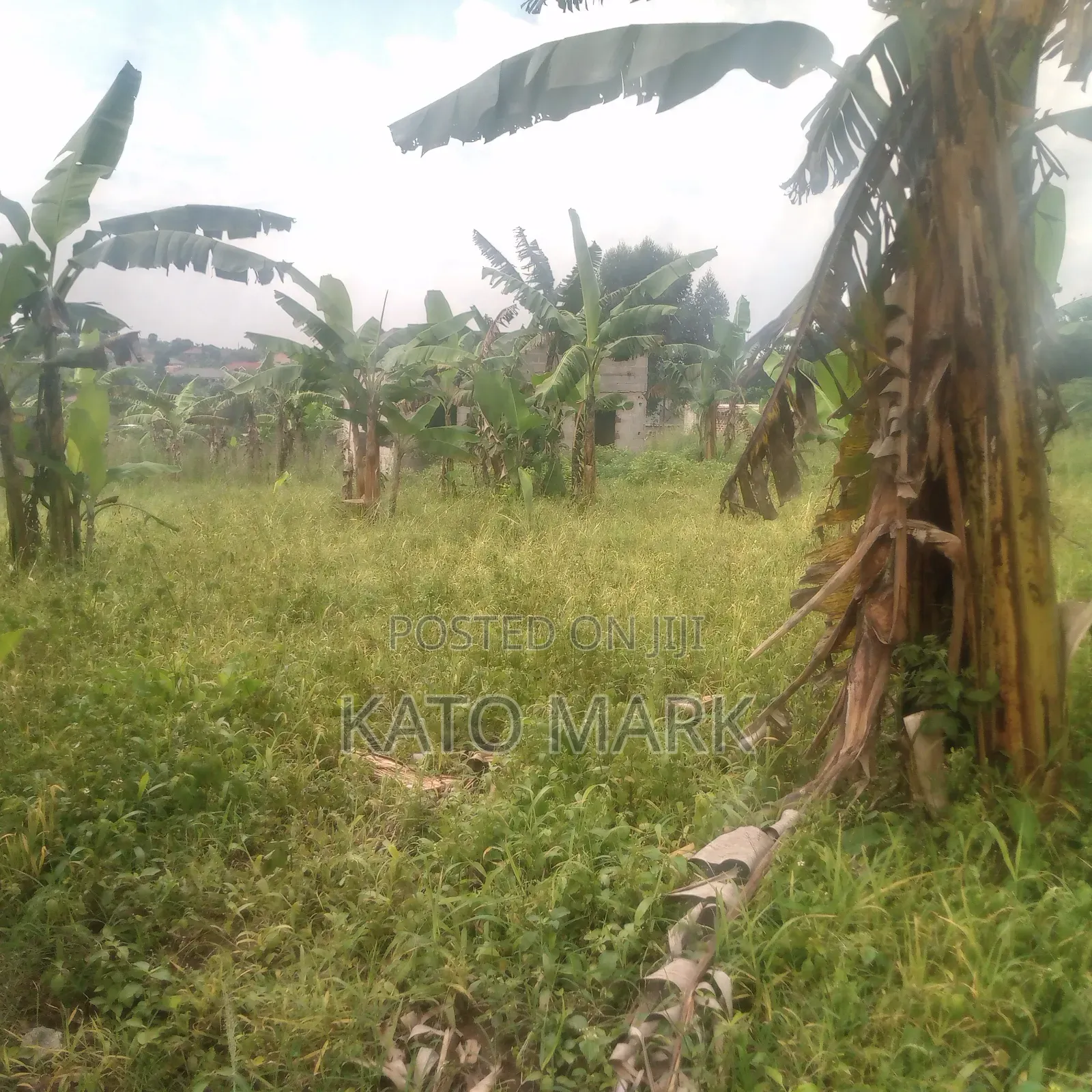 Several Plot for Sale Located at Mukono Kisowera