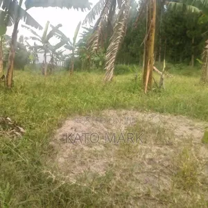 Several Plot for Sale Located at Mukono Kisowera