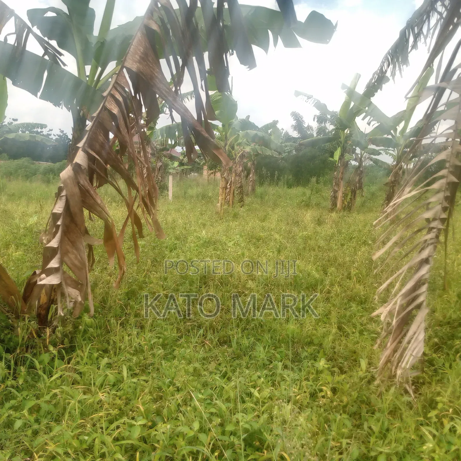 Several Plot for Sale Located at Mukono Kisowera