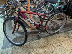 Sports Bicycles Japan Used