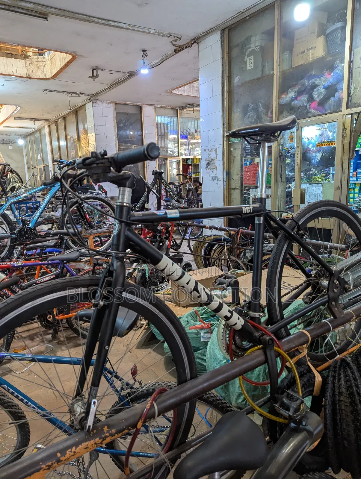 Sports Bicycles Japan Used