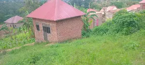 Plote For Sell 50by60 Feet