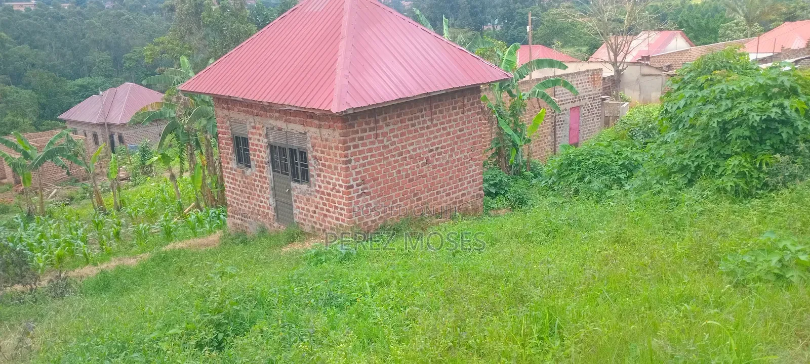 Plote For Sell 50by60 Feet