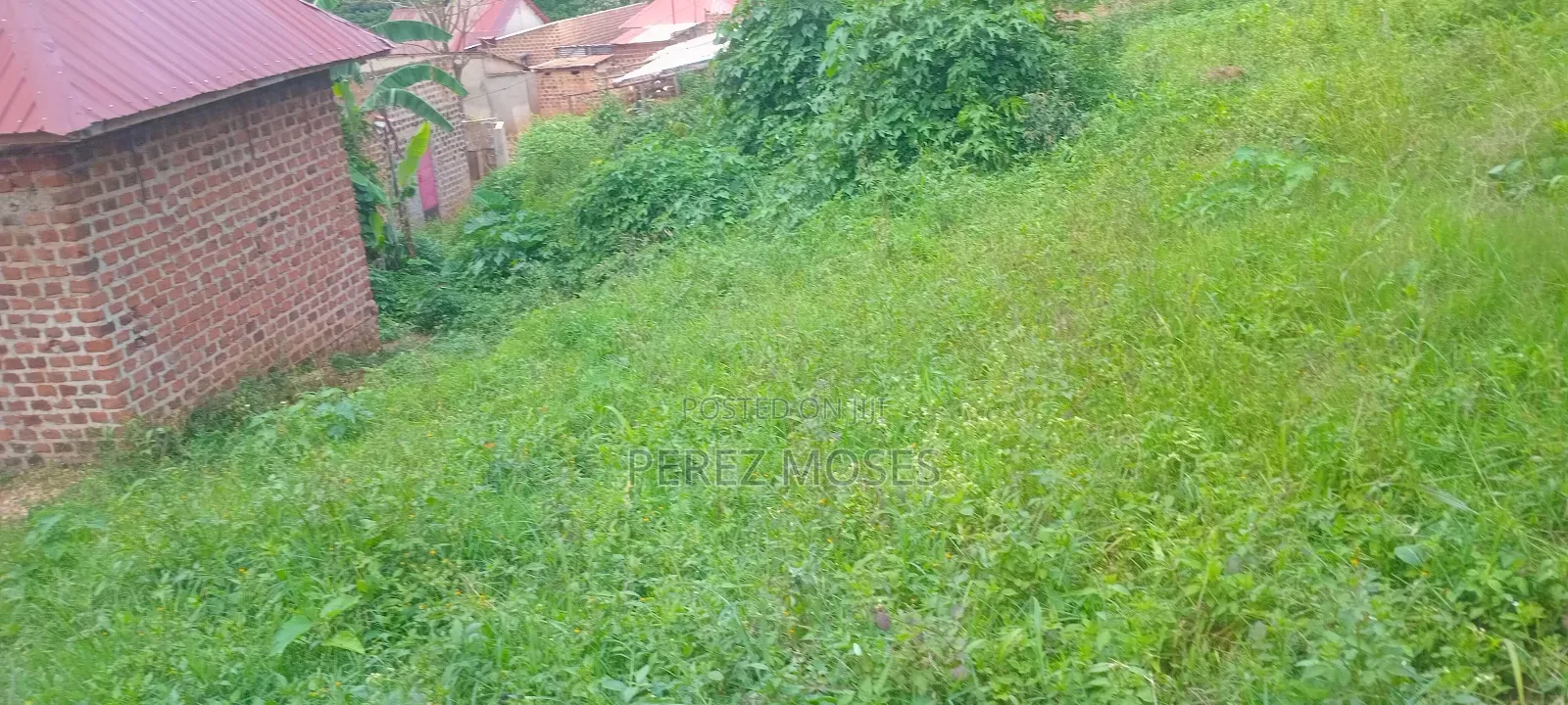 Plote For Sell 50by60 Feet