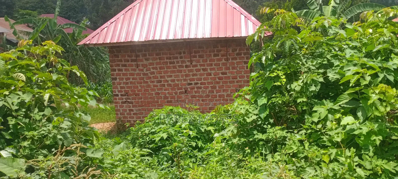 Plote For Sell 50by60 Feet