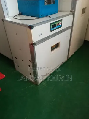 528-Egg Fully Automatic Incubator – Efficient Reliable