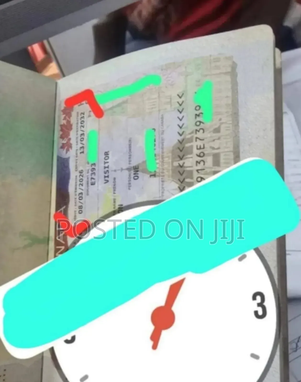 Visa Processing
