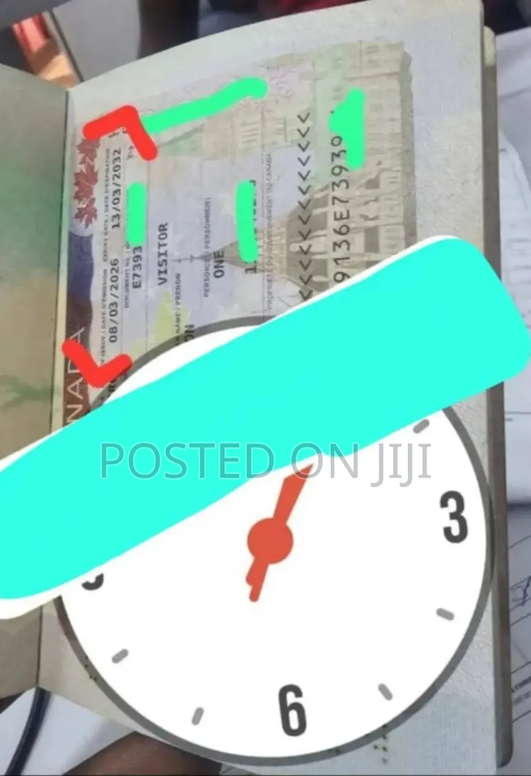Visa Processing