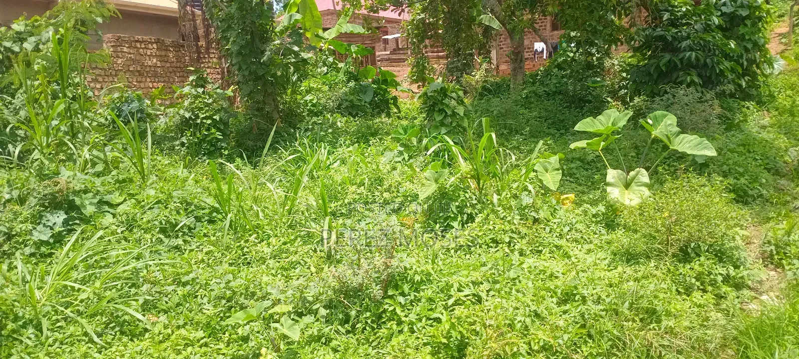 50by100 Feet for Sell