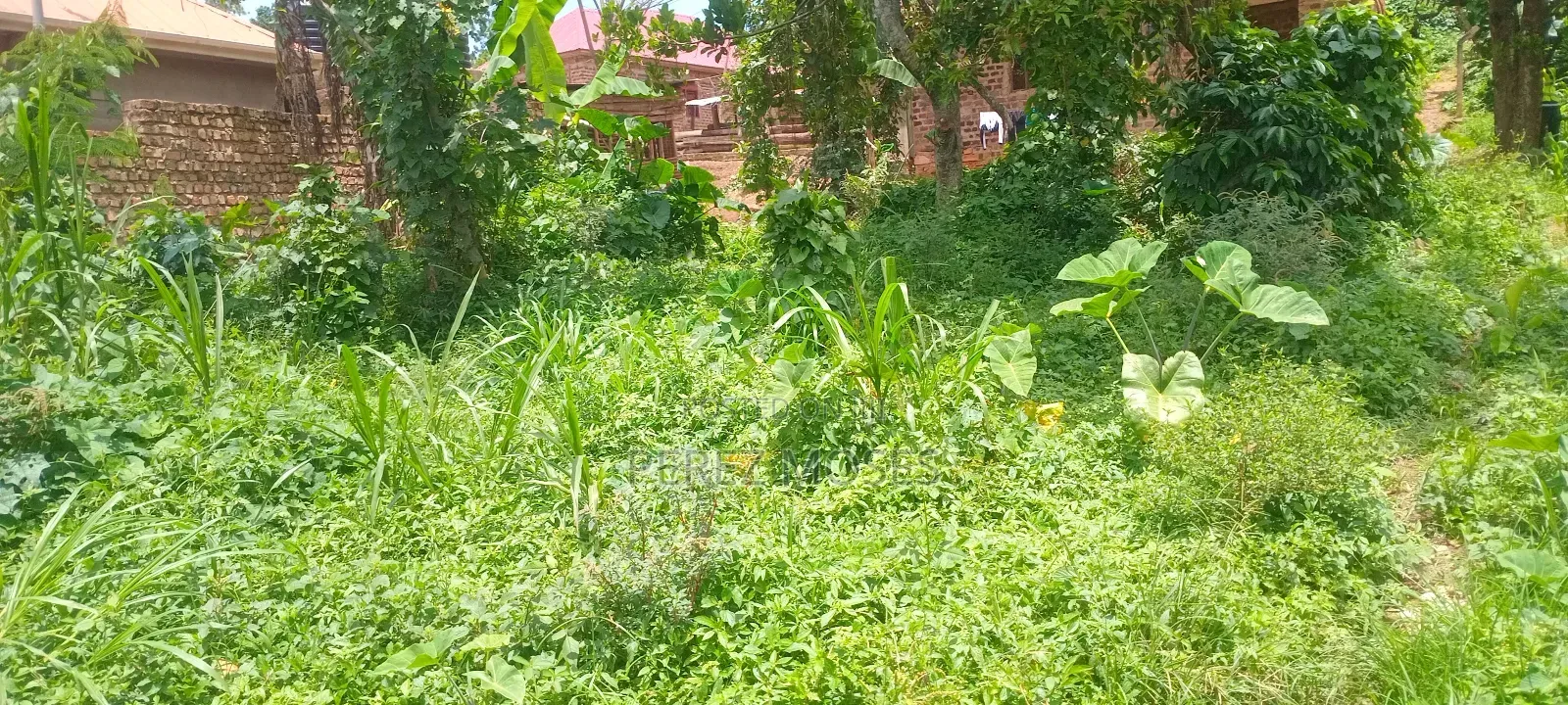 50by100 Feet for Sell
