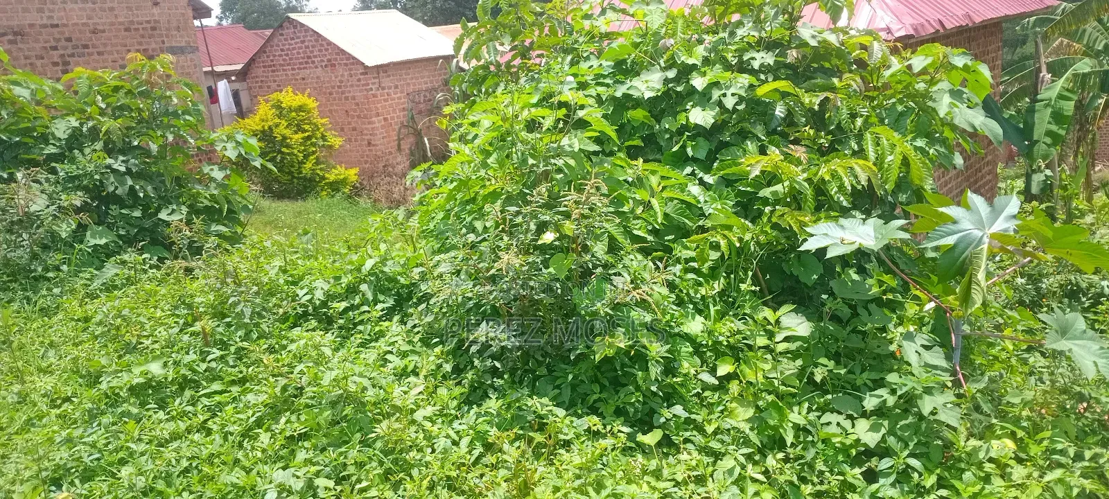50by100 Feet for Sell