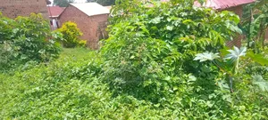50by100 Feet for Sell