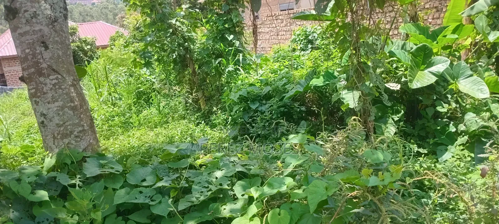 50by100 Feet for Sell