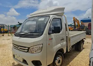 Foton 2025 White