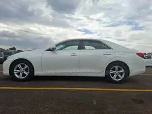 Toyota Mark X 2010 White