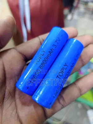 Lithium-Ion Rechargeable Batteries.