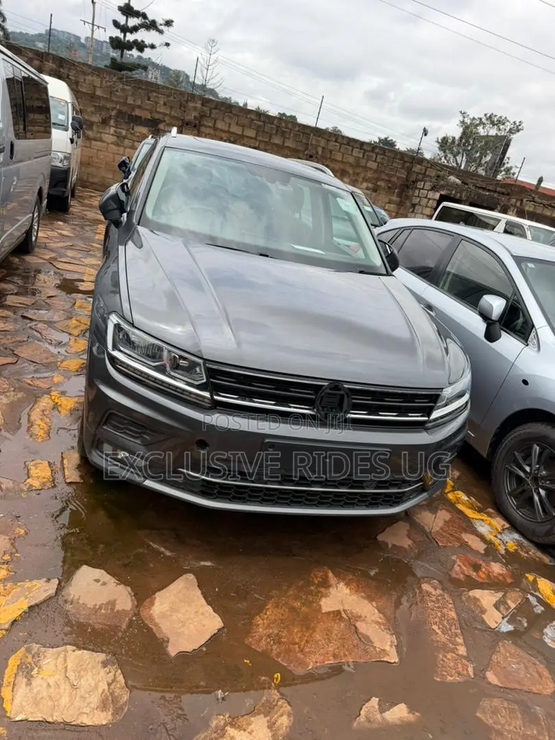 Volkswagen Tiguan 2019 Gray