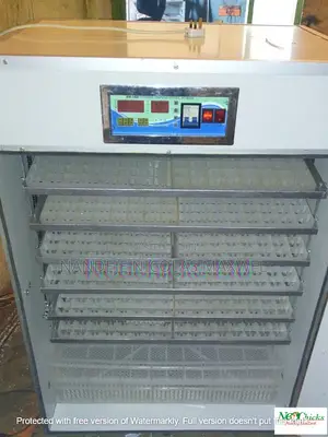 Egg Incubator With A Free Back Up Generator