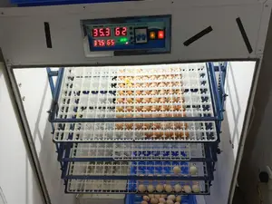 Egg Incubator With A Free Back Up Generator