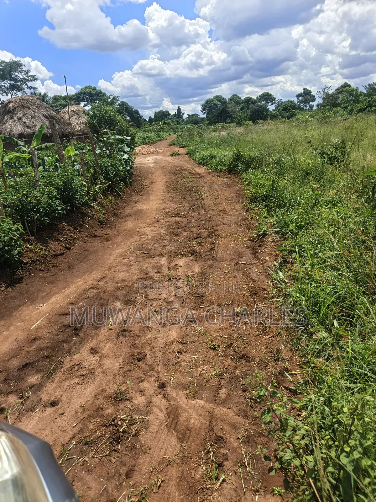 Land on Sale in Zirobwe Tongo Town