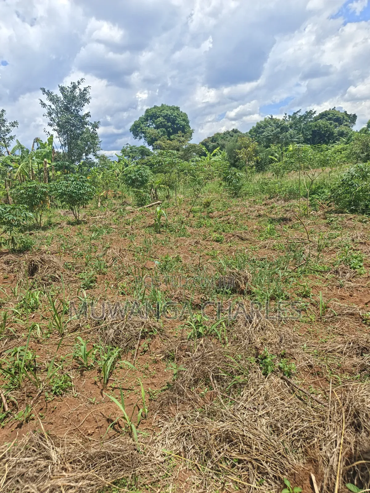 Land on Sale in Zirobwe Tongo Town