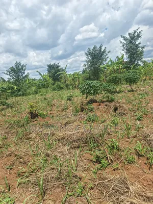 Land on Sale in Zirobwe Tongo Town