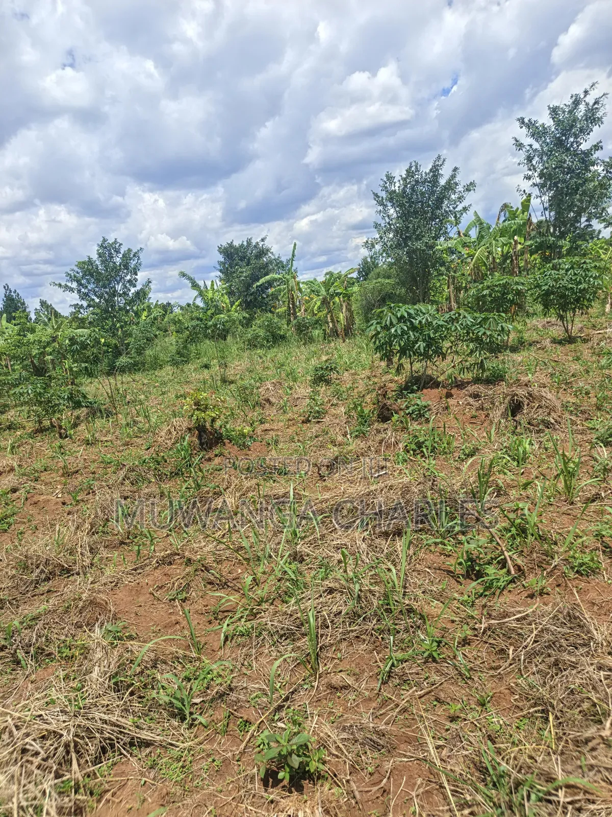 Land on Sale in Zirobwe Tongo Town