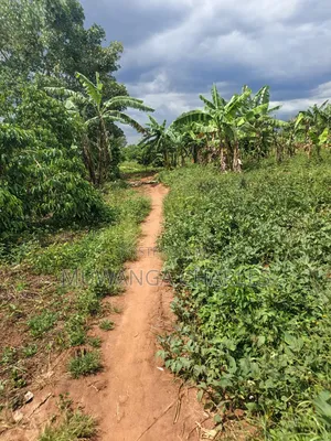 4acres of Land on Sale in Zirobwe Tongo