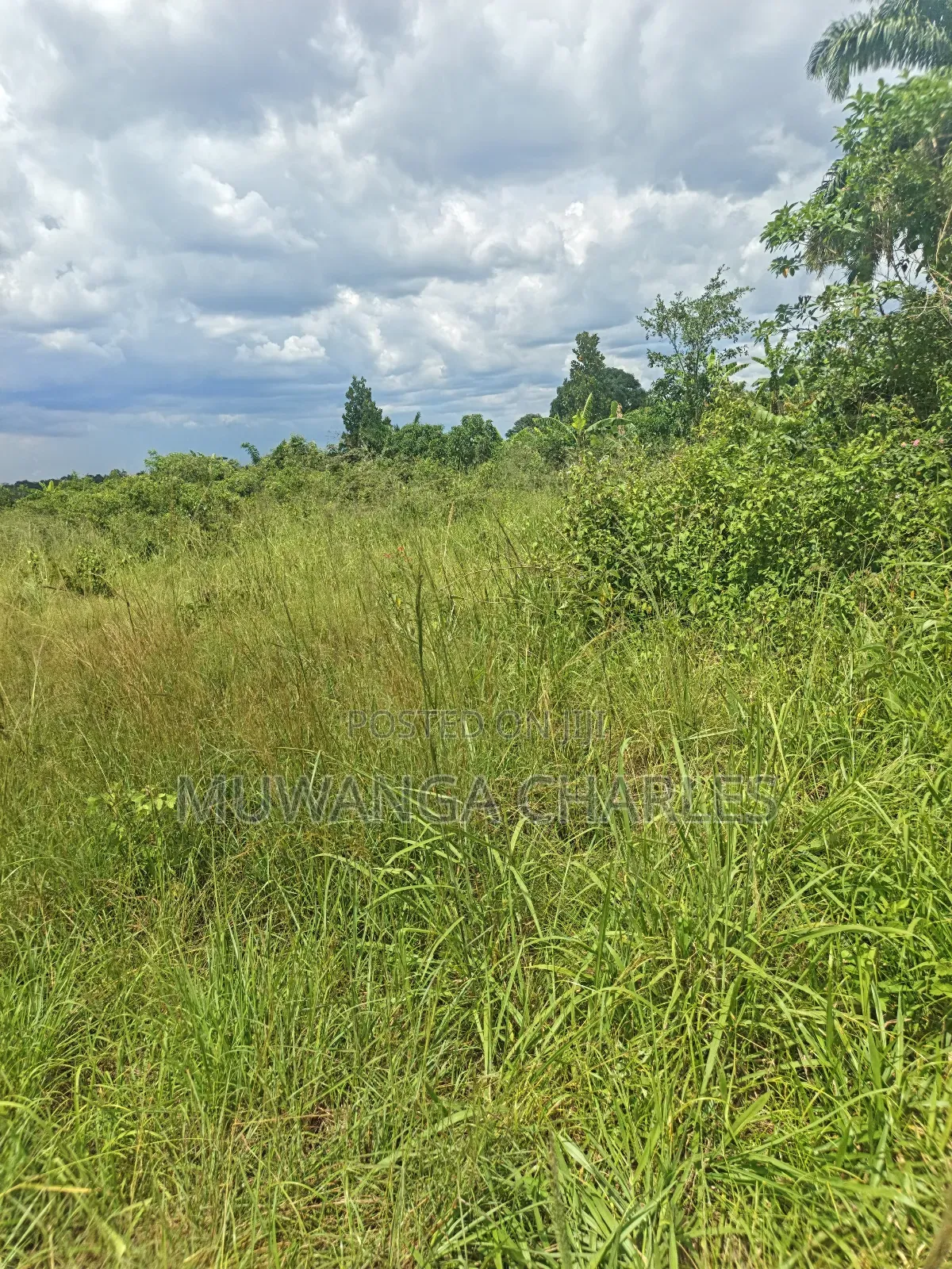 4acres of Land on Sale in Zirobwe Tongo