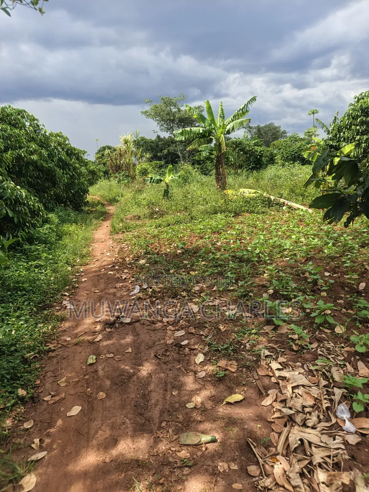4acres of Land on Sale in Zirobwe Tongo