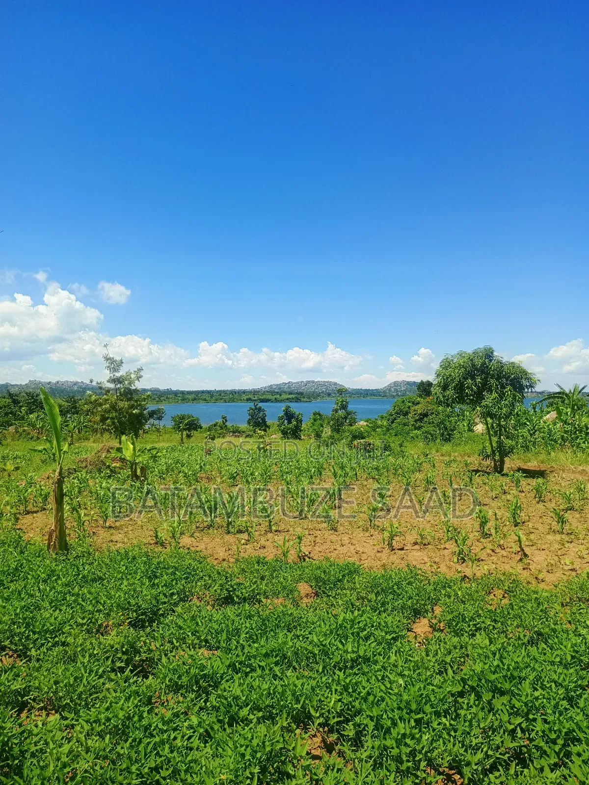 15 Acres of Farm Land on Lake Victoria Shores