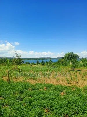 15 Acres of Farm Land on Lake Victoria Shores