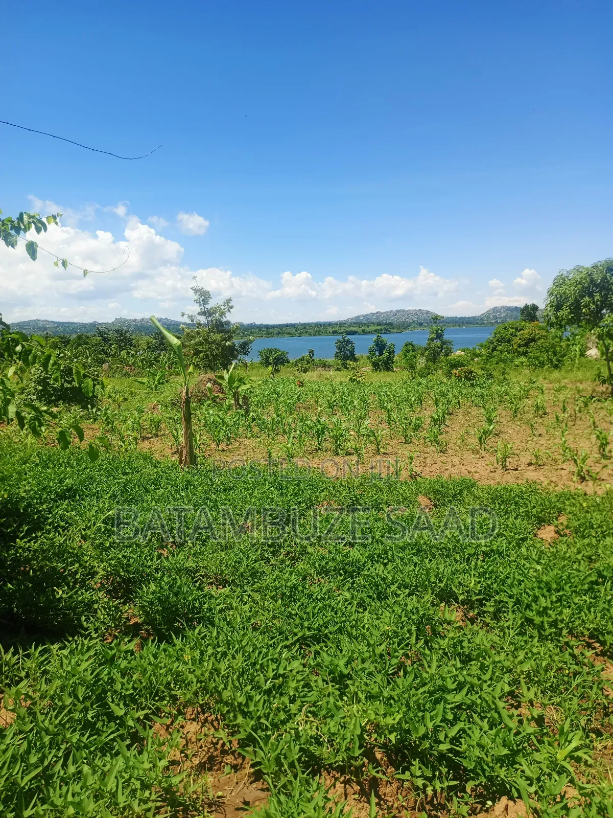 15 Acres of Farm Land on Lake Victoria Shores