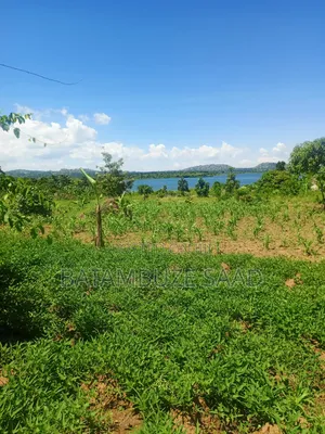 15 Acres of Farm Land on Lake Victoria Shores